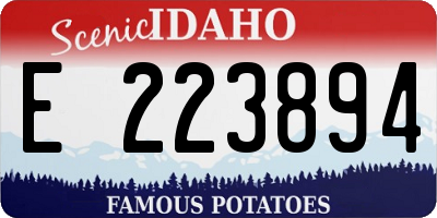 ID license plate E223894