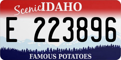 ID license plate E223896