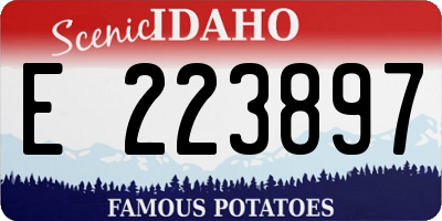 ID license plate E223897