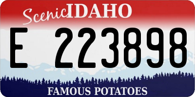 ID license plate E223898