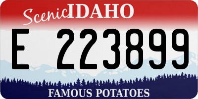 ID license plate E223899