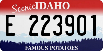 ID license plate E223901