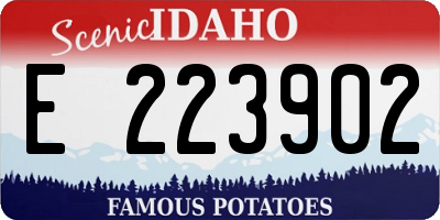 ID license plate E223902