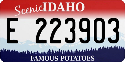 ID license plate E223903