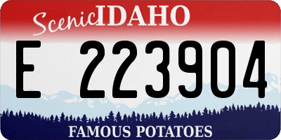ID license plate E223904