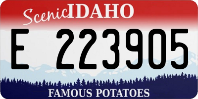 ID license plate E223905