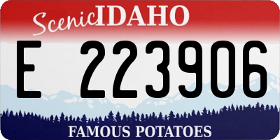 ID license plate E223906