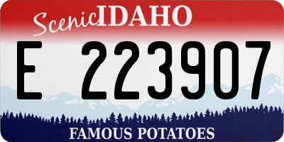 ID license plate E223907