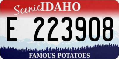 ID license plate E223908