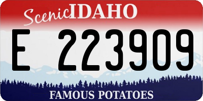 ID license plate E223909