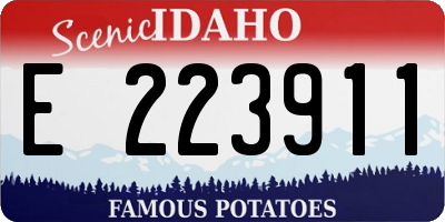 ID license plate E223911