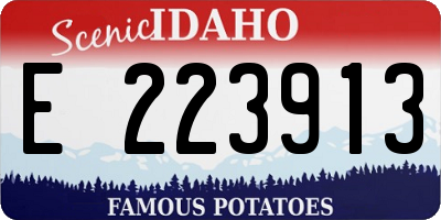 ID license plate E223913