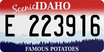 ID license plate E223916
