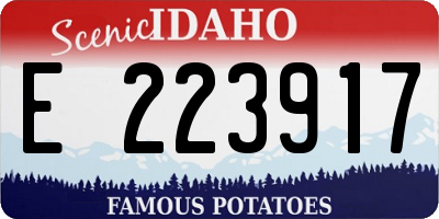 ID license plate E223917