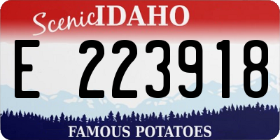 ID license plate E223918