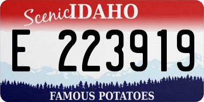 ID license plate E223919