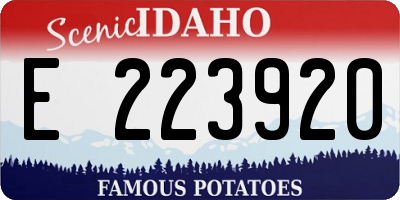 ID license plate E223920