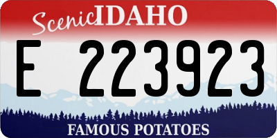 ID license plate E223923