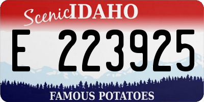 ID license plate E223925