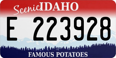 ID license plate E223928