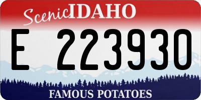 ID license plate E223930