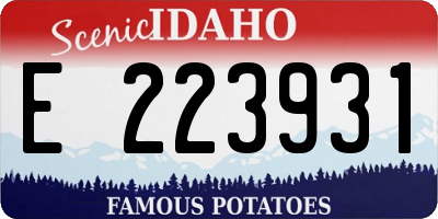 ID license plate E223931