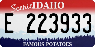 ID license plate E223933