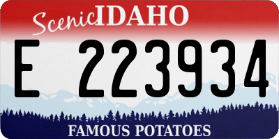 ID license plate E223934