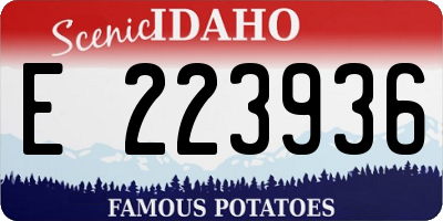 ID license plate E223936