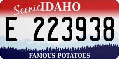 ID license plate E223938