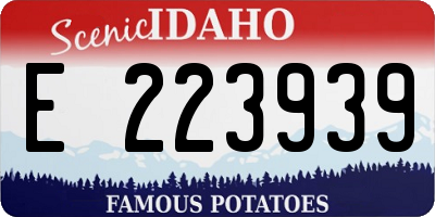 ID license plate E223939