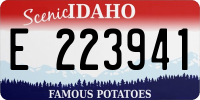ID license plate E223941