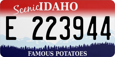 ID license plate E223944