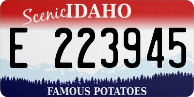 ID license plate E223945