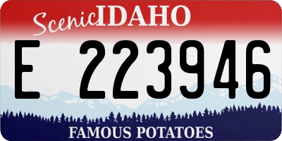 ID license plate E223946