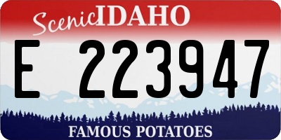 ID license plate E223947
