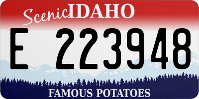 ID license plate E223948