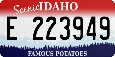 ID license plate E223949