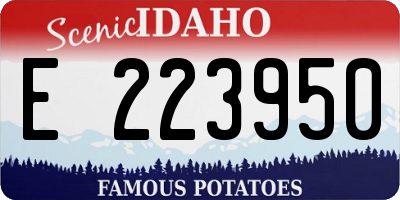 ID license plate E223950