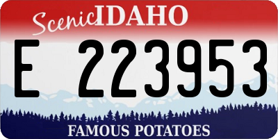 ID license plate E223953