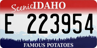ID license plate E223954