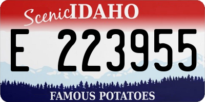 ID license plate E223955