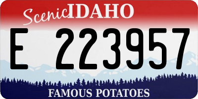 ID license plate E223957