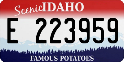 ID license plate E223959