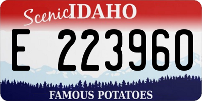 ID license plate E223960