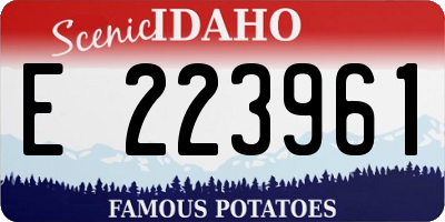 ID license plate E223961