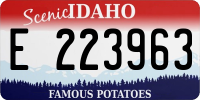 ID license plate E223963