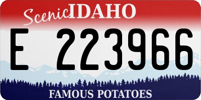ID license plate E223966