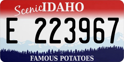 ID license plate E223967
