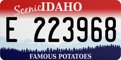 ID license plate E223968